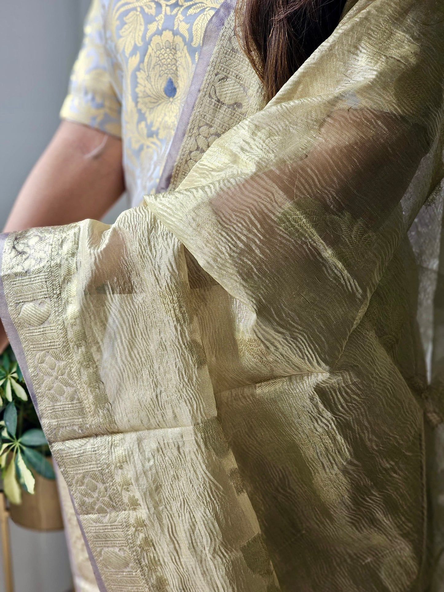 Sonali - Banarasi Suit